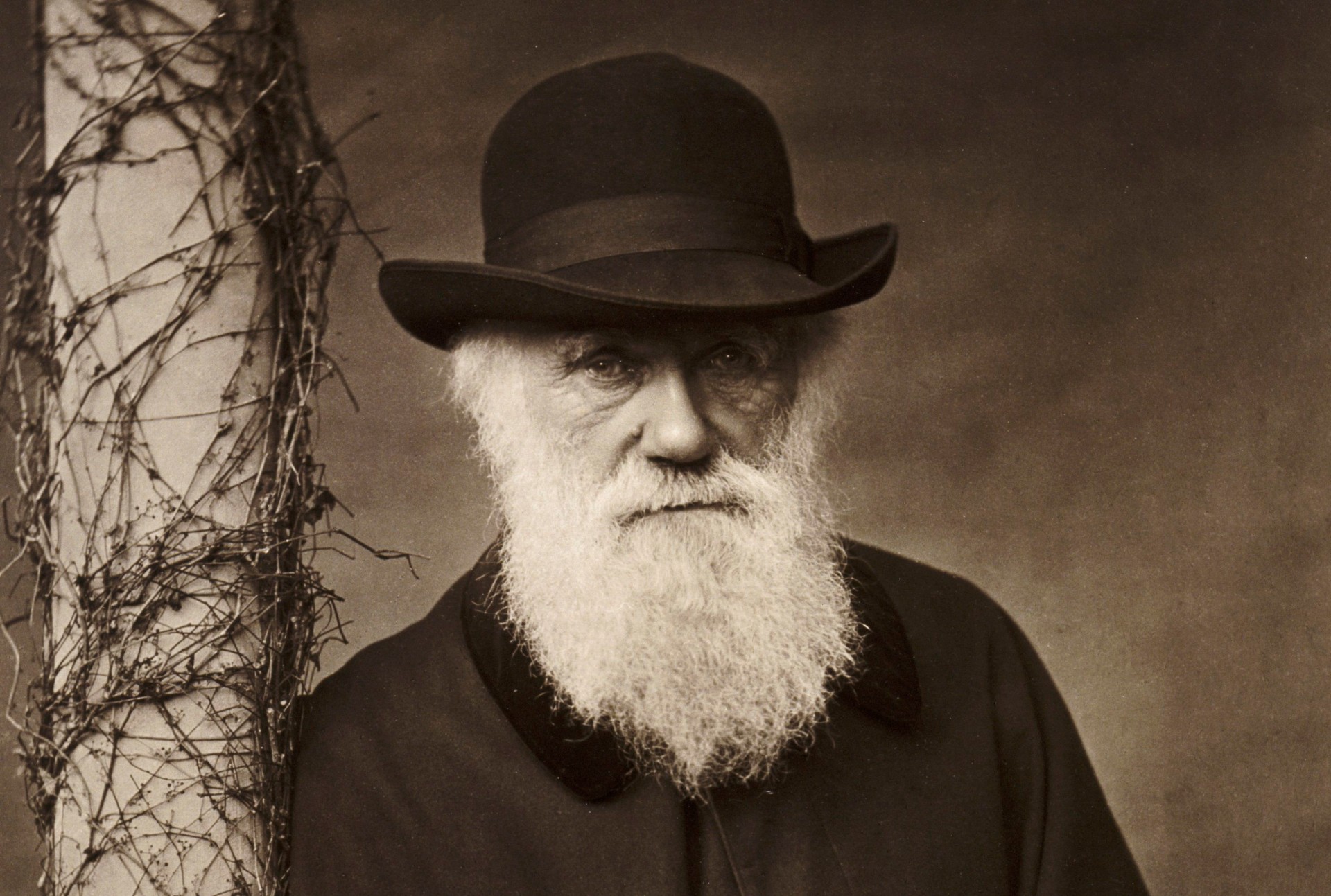 Personaggi Famosi - Charles Darwin